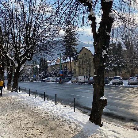 Castanilor 12 - Bad Clock Apartment Brasov