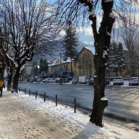 Castanilor 12-parking Included Апартаменты Брашов