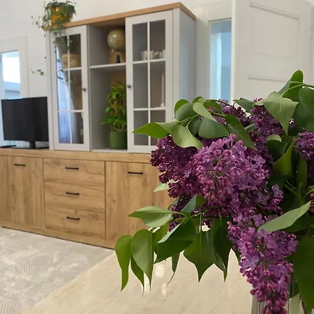 Апартаменты Castanilor 12-parking Included Брашов