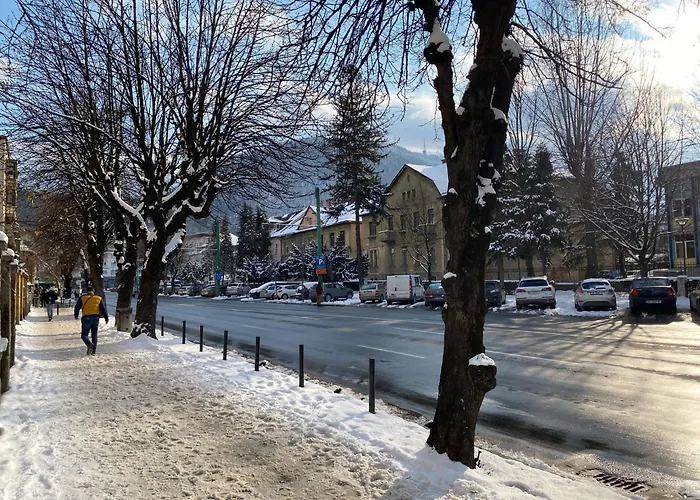 Castanilor 12-parking Included Apartment Brasov