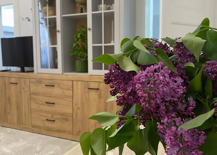 Apartment Castanilor 12-parking Included Brasov